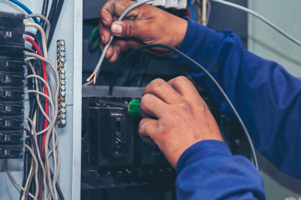 Best Ceiling Fan Installation Electrician  in Frankston, TX