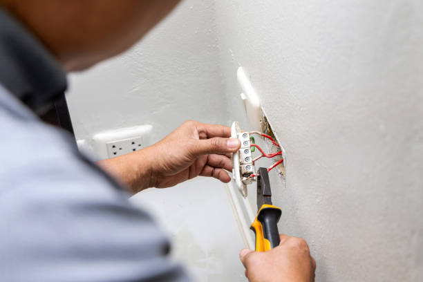 Best Circuit Breaker Repair  in Frankston, TX