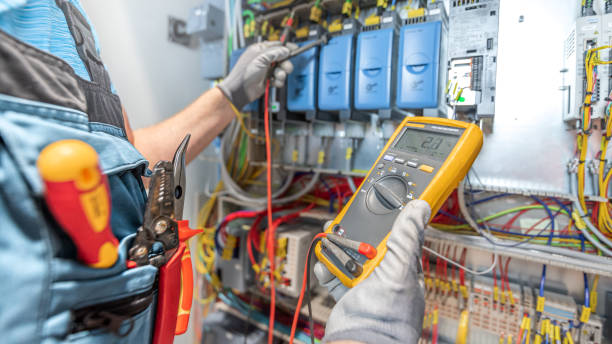 Best Electric Panel Repair  in Frankston, TX